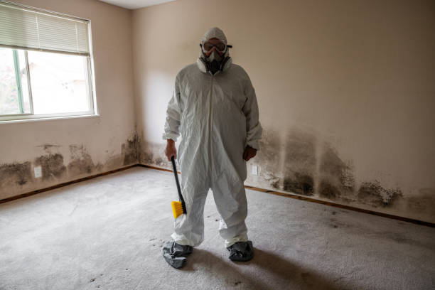 Best Local Mold Removal Service  in Barton Creek, TX